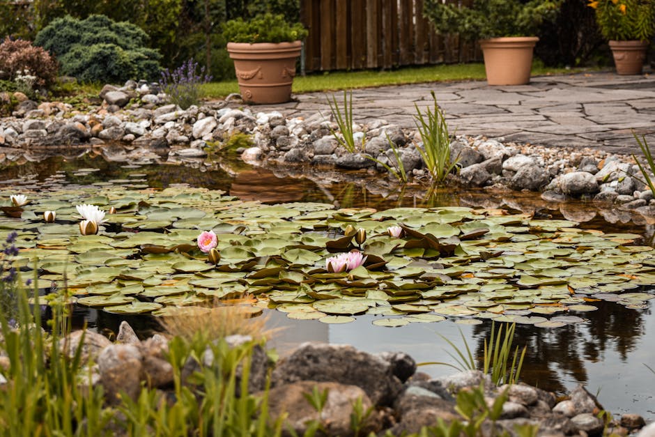 Tranquil garden pond with water lilies in bloom surrounded by stones and greenery.