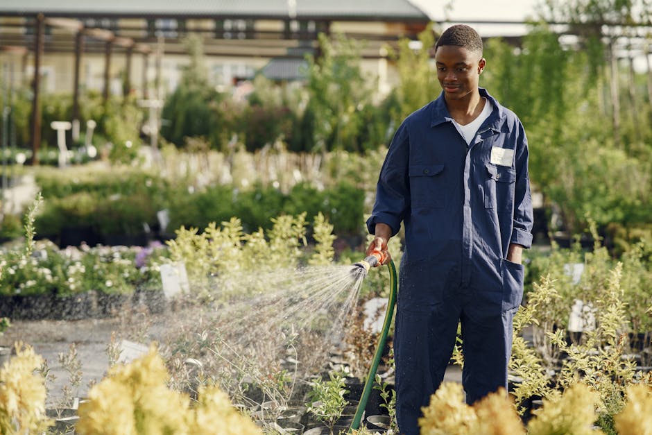 A smiling gardener in coveralls waters plants in a sunny outdoor nursery.