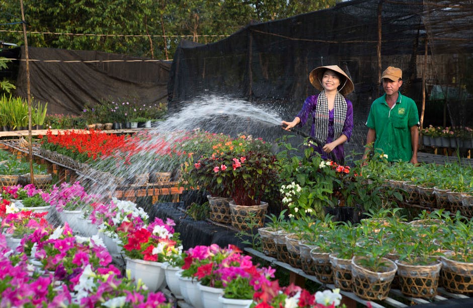 Two gardeners tending to colorful flowers in an outdoor plant nursery, using water hoses for growth.